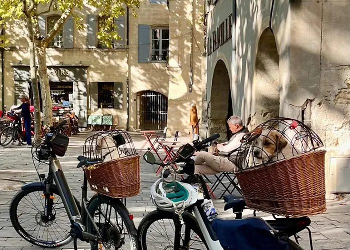 Le Saint-genies 3* Юзес